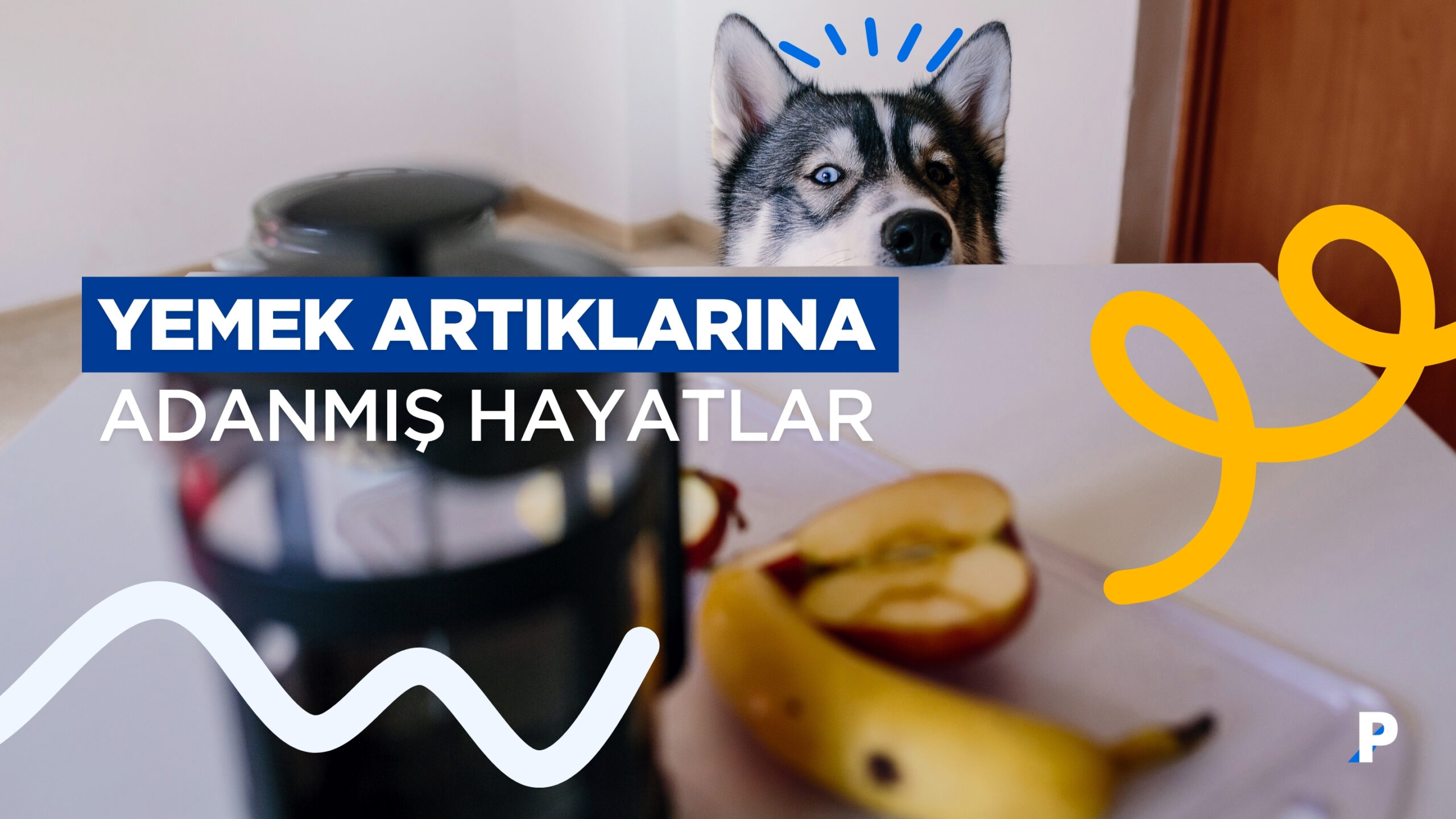 Yemek Artıkları Köpeğinizin Hassas Midesi için Bir Hediye Değildir!