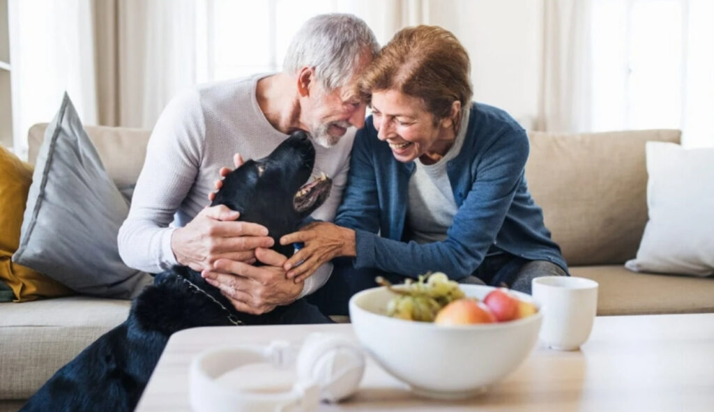 siyah köpek sahiplenmiş yaşlı çift | siyah köpek sendromu