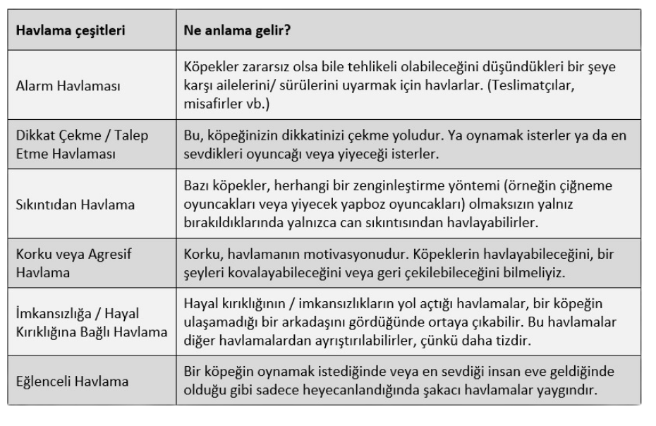 köpek havlama çeşitleri ve anlamları şablonu