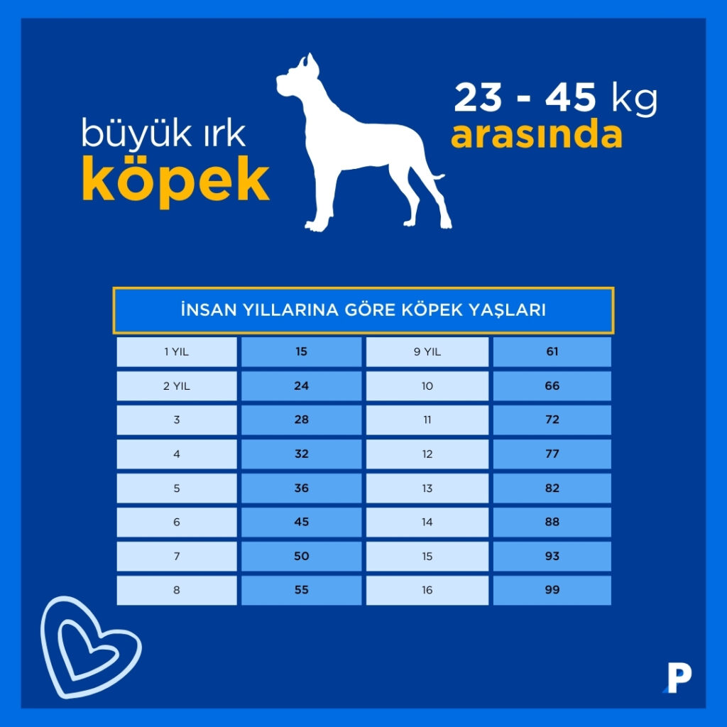 büyük-ırk-köpek-yaş-tablosu 11092024142014