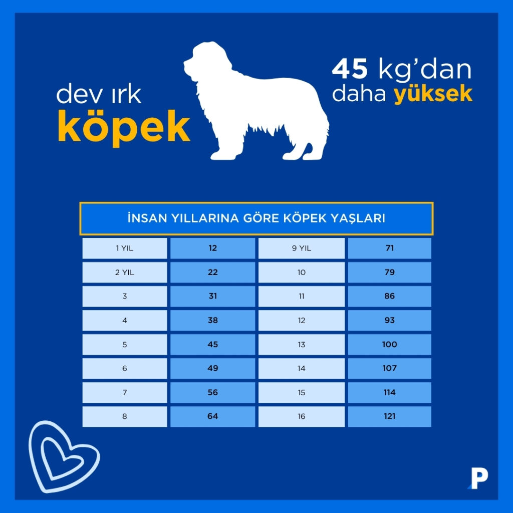 dev-ırk-köpek-yaş-tablosu 11092024142024