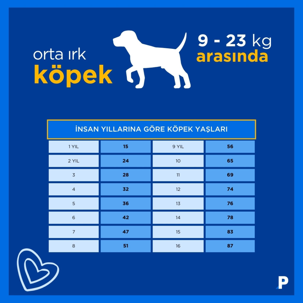 orta-ırk-köpek-yaş-tablosu köpek yaşı- 9kg ve altı köpekler