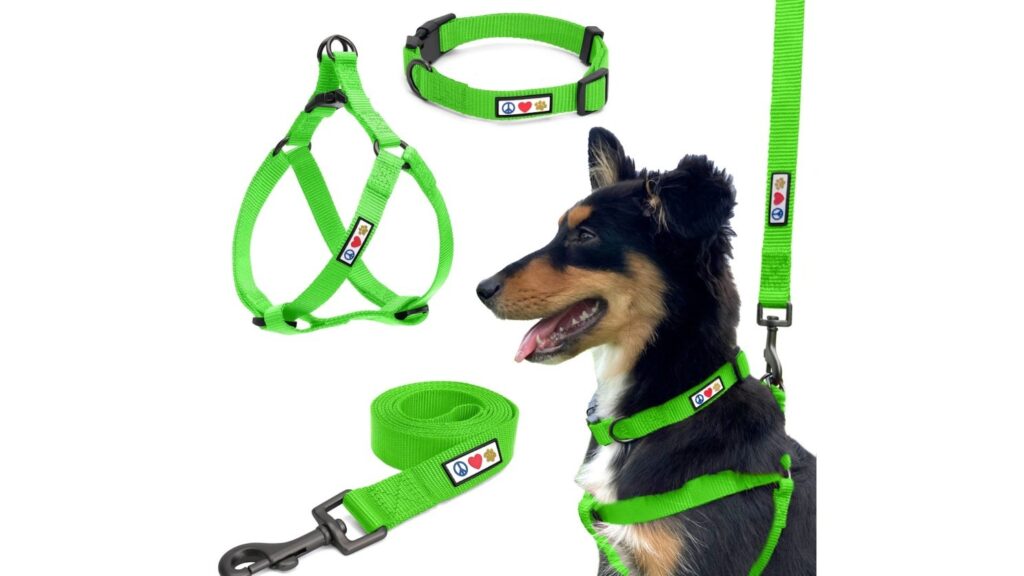 1729684384790 jpeg 1