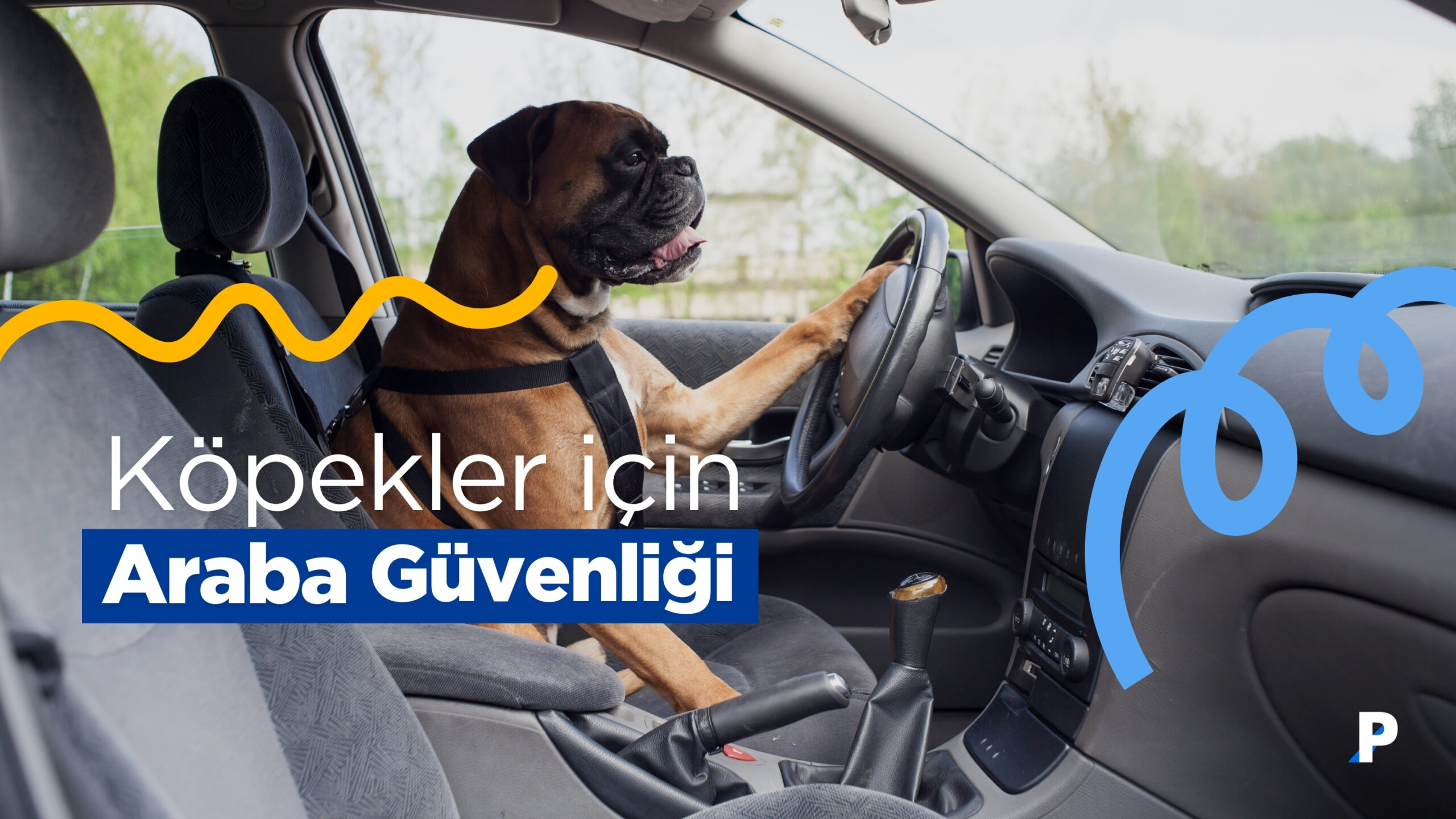Köpekler İçin Araba Güvenliği: Yolculukta Dikkat!