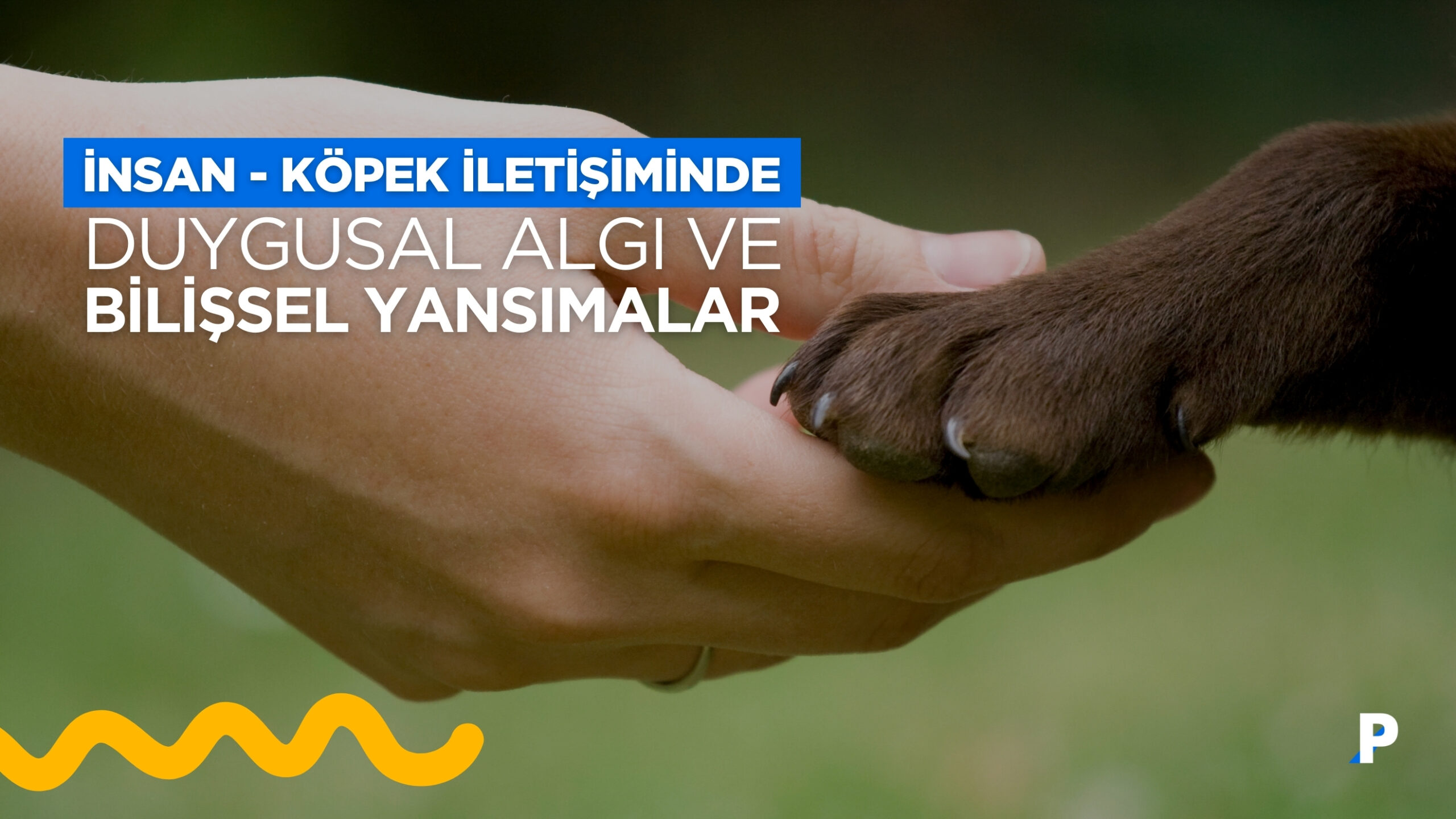 İnsan ve Köpek İletişimi | Duygusal Algı ve Bilişsel Yansımalar