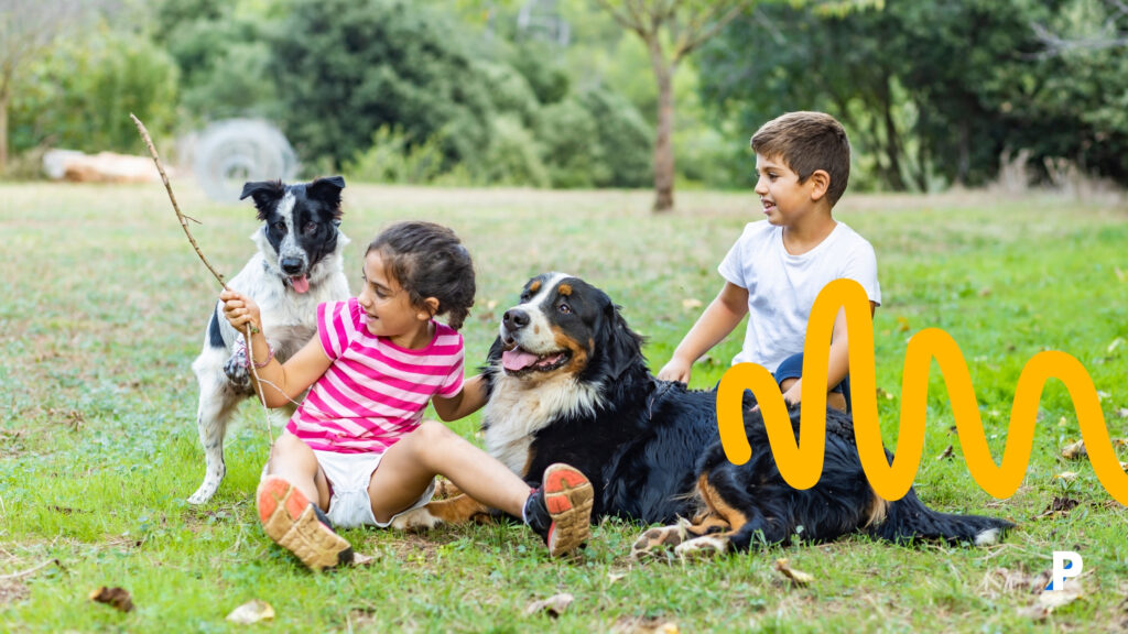 çocuk köpek eşleştirme projesi