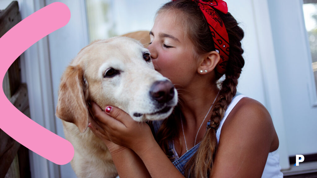 insan ve köpek iletişimi