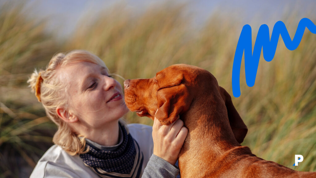 insanlar ve köpekler