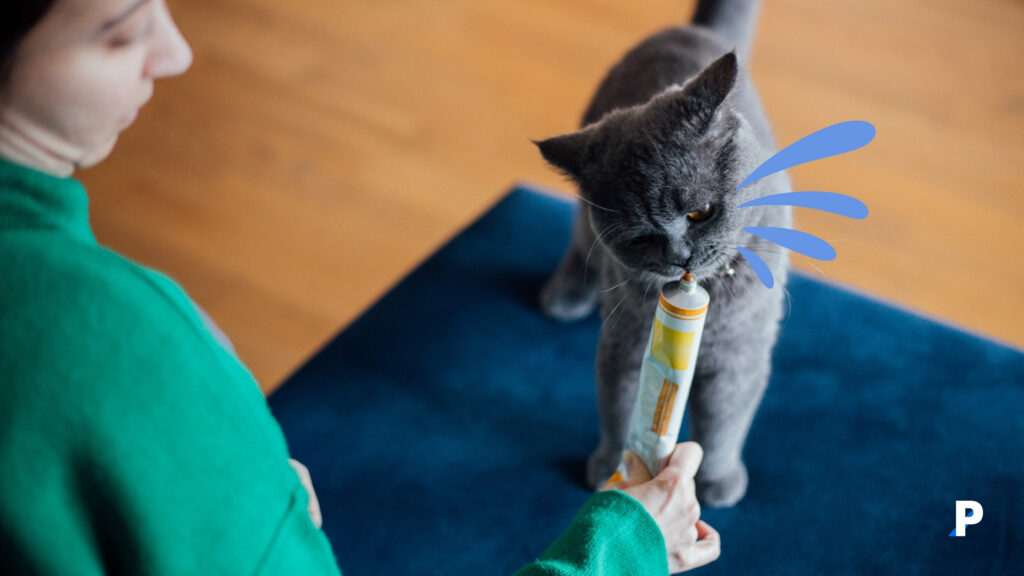 kedi maltı yiyen kedi - kedilerde tüy yumakları sorunları