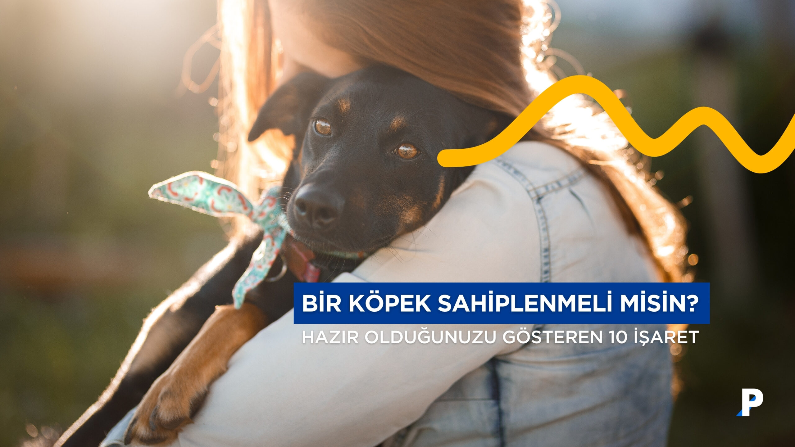 Köpek Sahiplenmeli misiniz? Hazır Olduğunuzu Gösteren 10 İşaret