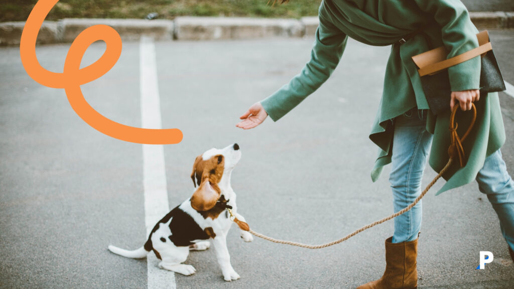 açık-alanda-tuvalet-eğitimi (1) acik alanda tuvalet egitimi 1