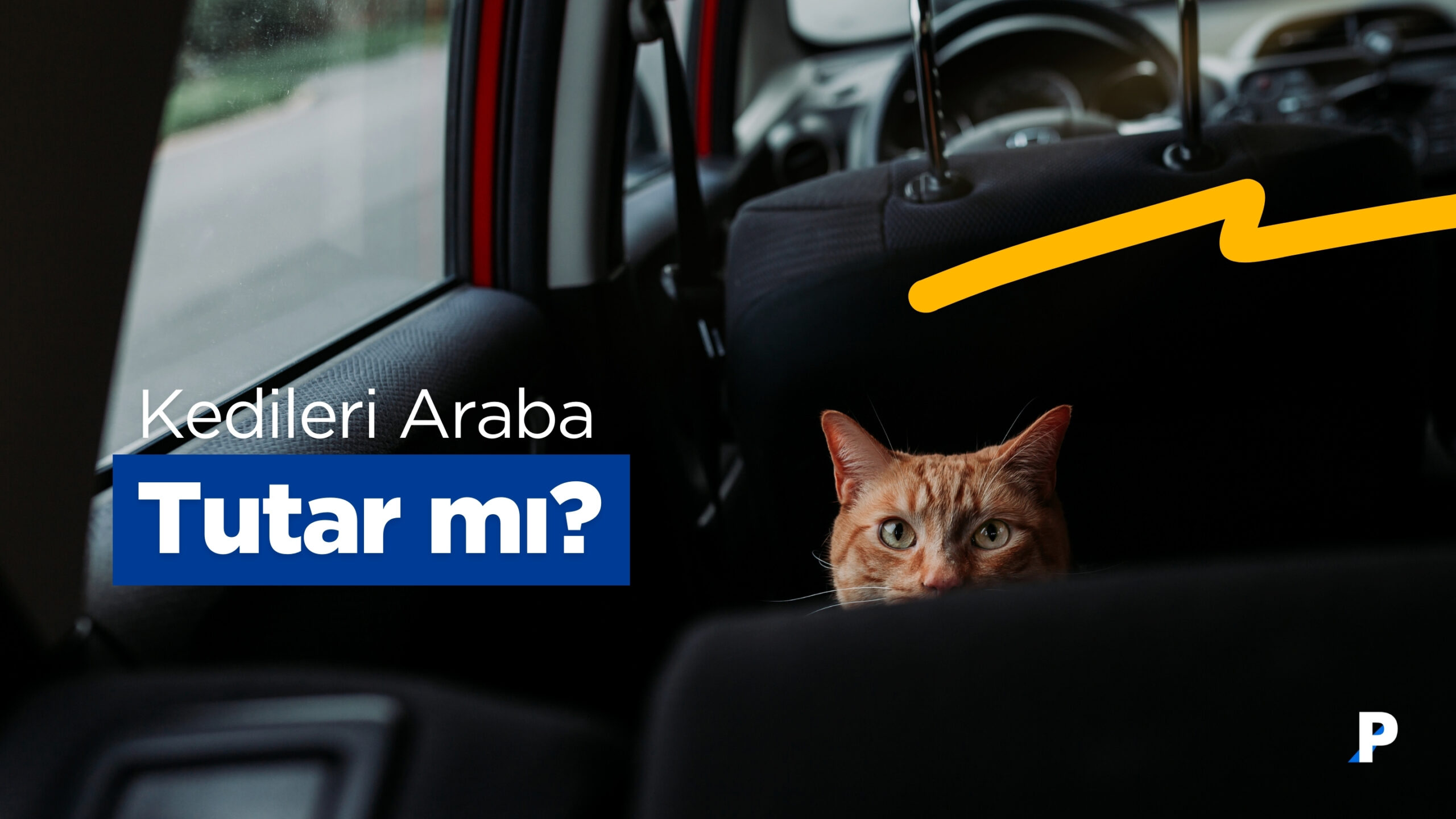 Kedileri Araba Tutar mı? Veteriner Onaylı Bilgiler ve İpuçları