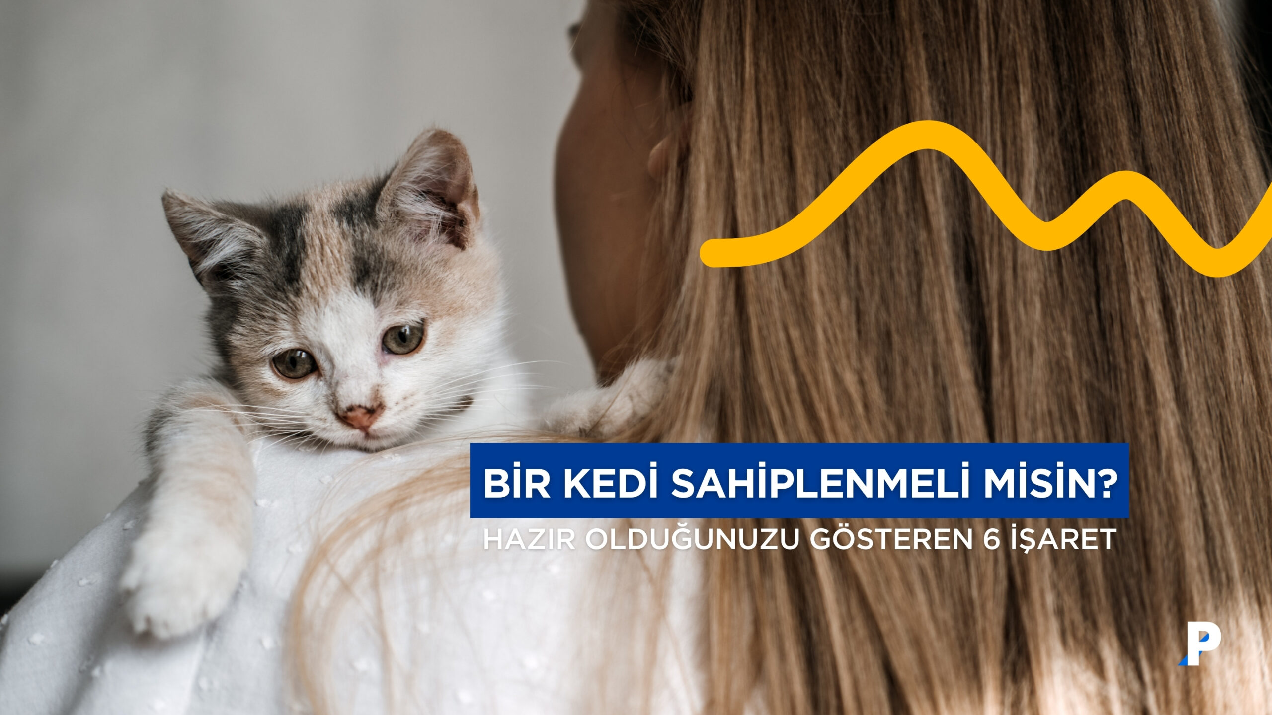 Yavru Kedi Sahiplenmeli misiniz? Kedi Sahiplenmeye Hazır Olduğunuzu Gösteren 6 İşaret