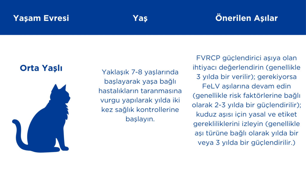 orta yaşlı kedi aşıları