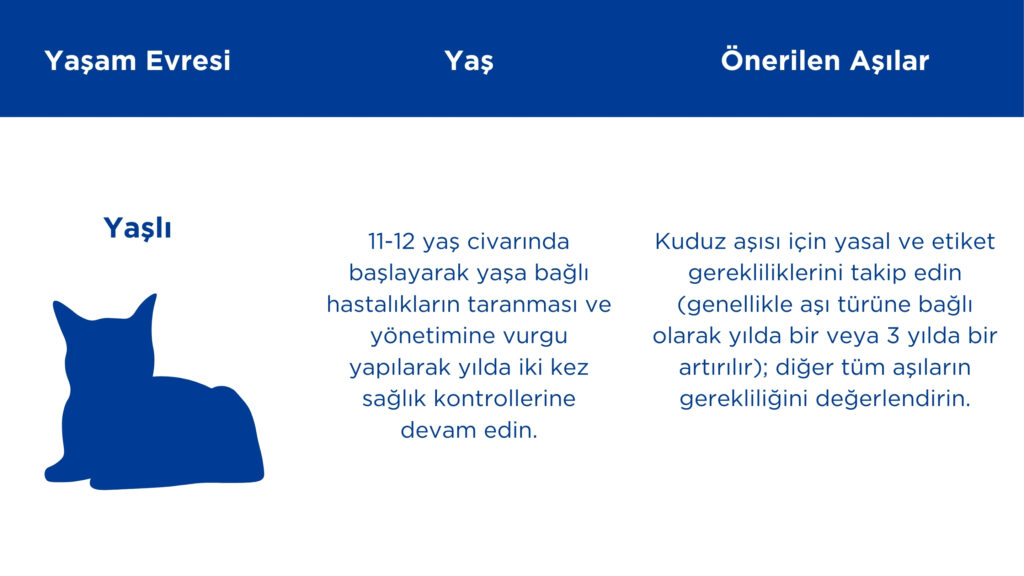yaşlı kedi aşıları takvimi