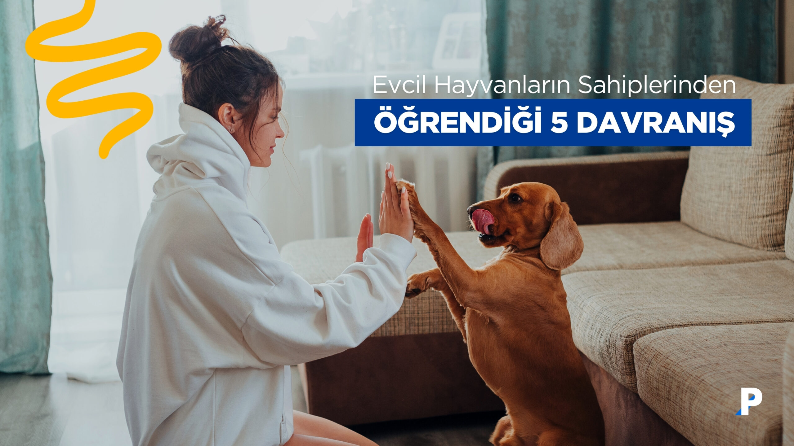 Evcil Hayvanların Sahiplerinden Öğrendiği 5 Davranış