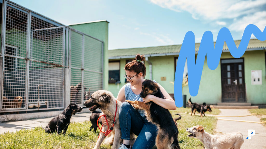 köpeğim bana güveniyor mu köpeklerin size güvenmesini nasıl sağlarsınız?