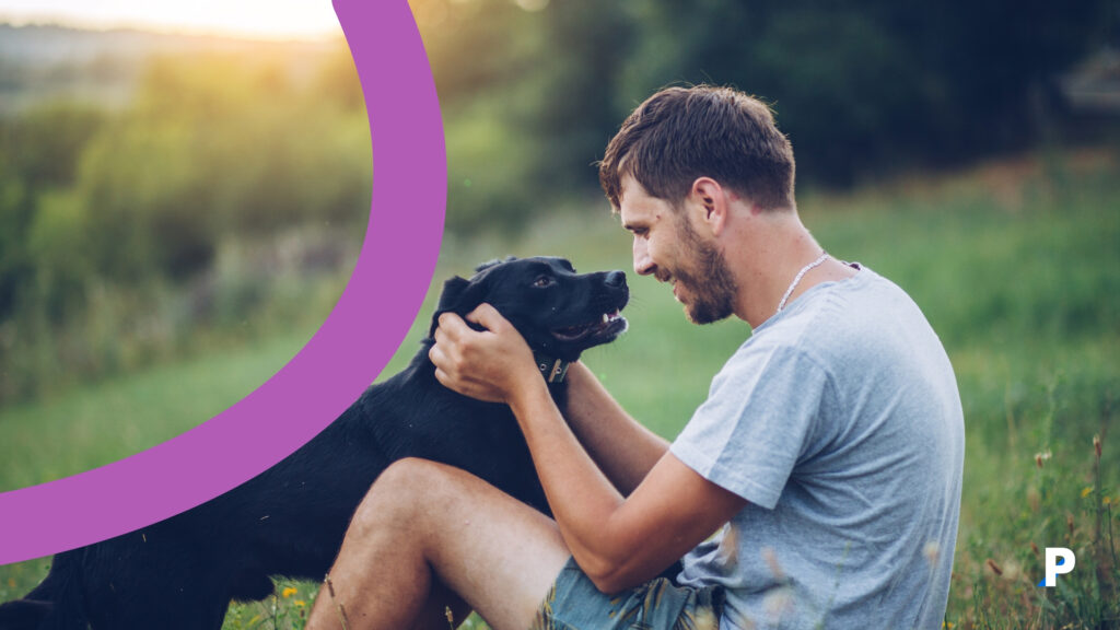 köpeğinizin size güvenmesini nasıl sağlarsınız köpeğinizin size güvenmesini nasıl sağlarsınız?