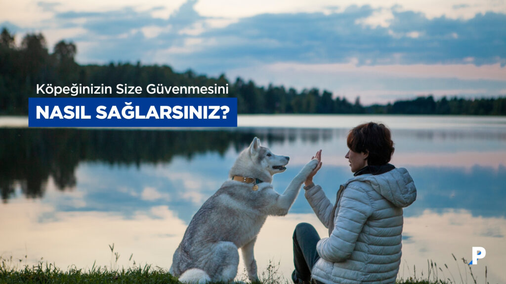 Köpeğinizin Size Güvenmesini Sağlamanın 7 Kanıtlanmış Yolu