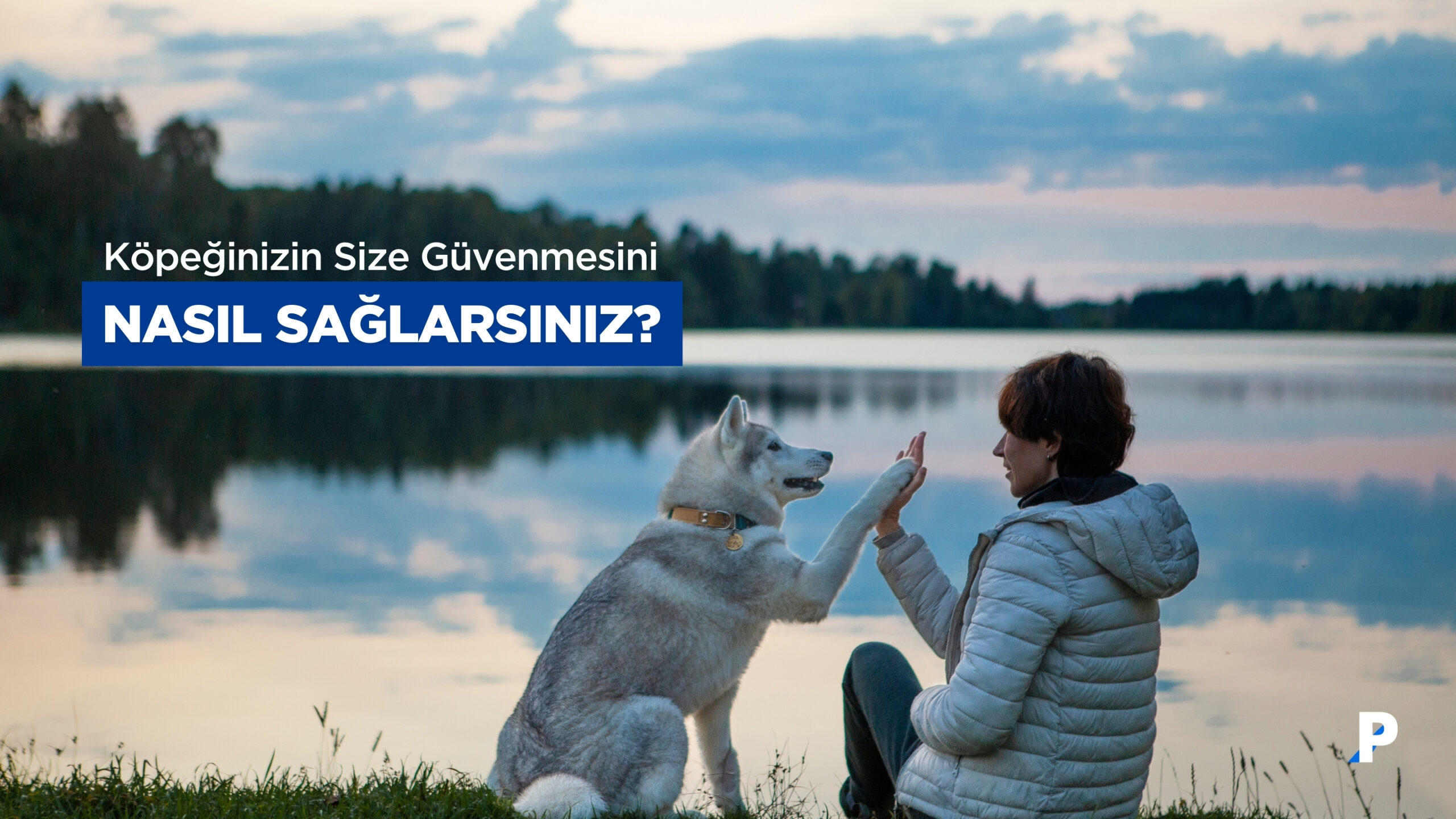 Köpeğinizin Size Güvenmesini Sağlamanın 7 Kanıtlanmış Yolu