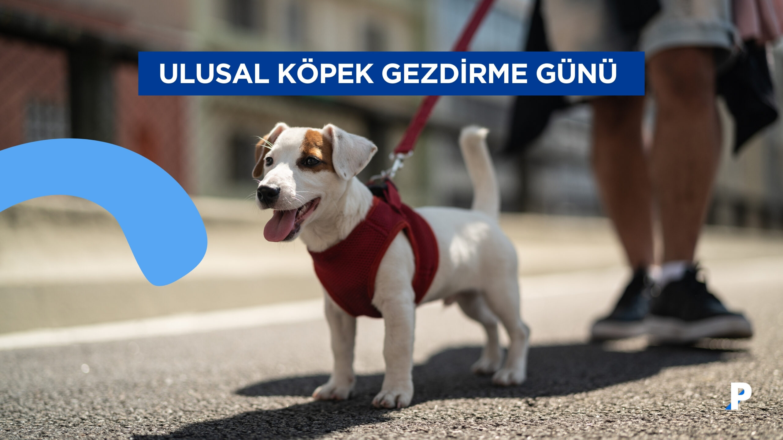 Ulusal Köpek Gezdirme Günü
