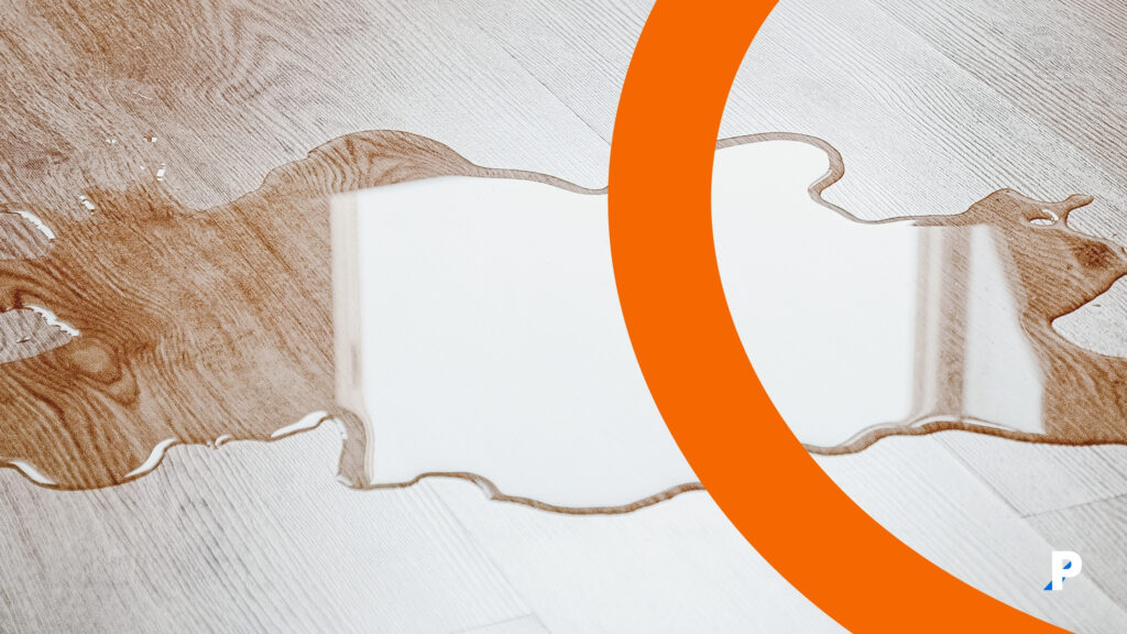 ev zeminindeki idrar görüntüsü köpek idrarı köpeğim neden evde idrar yapıyor?