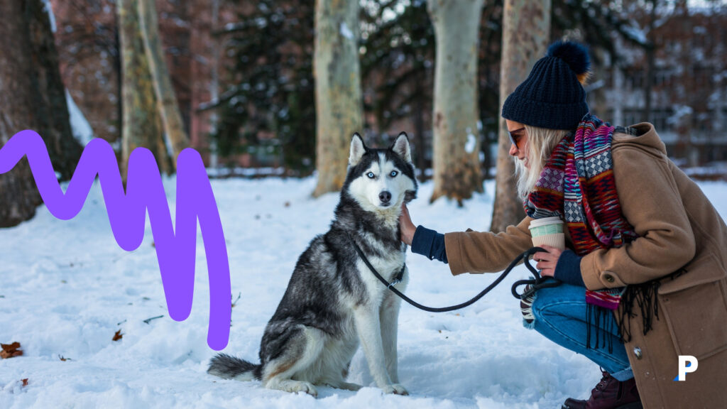 köpeğim beni seviyor mu köpeğim beni seviyor mu?