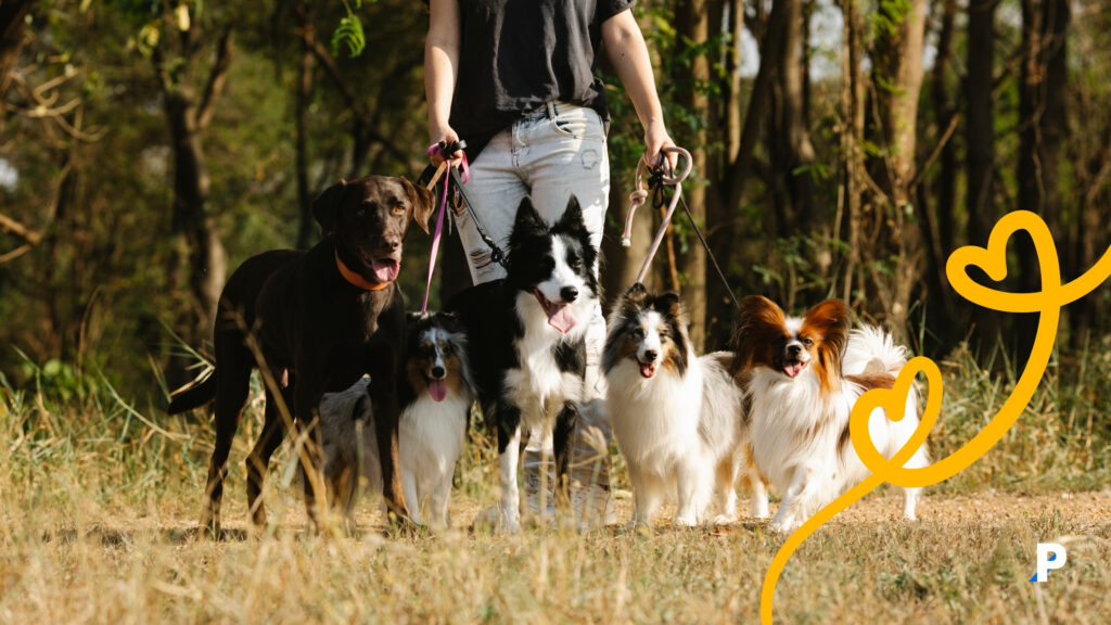 köpeklerini yürüten bir kişi köpeğinizi her gün yürütmek gereklidir