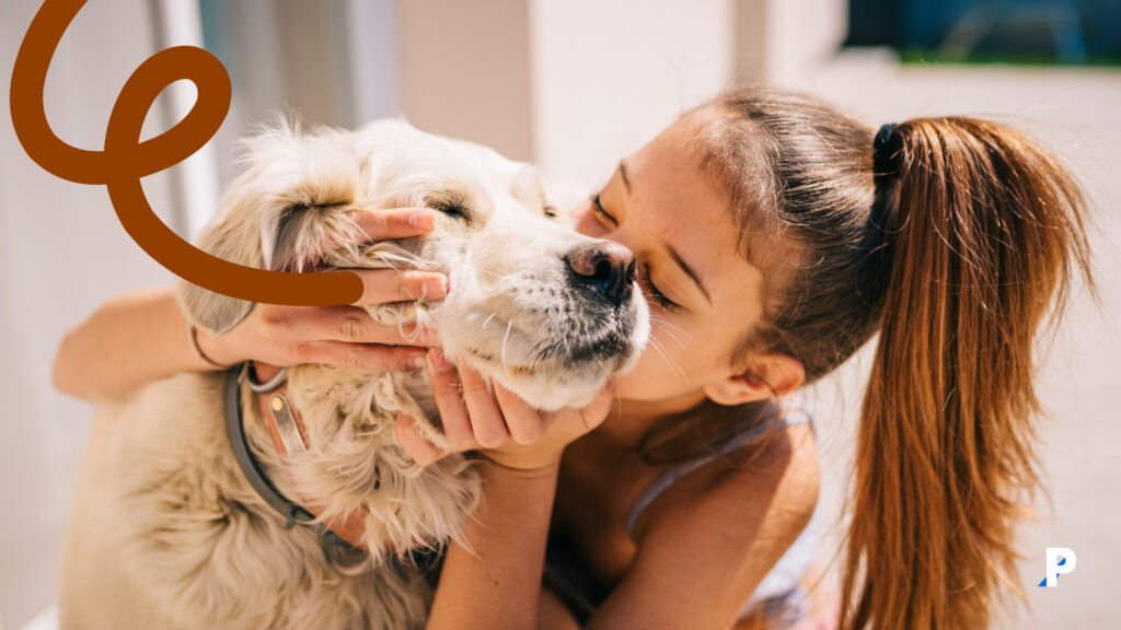 yaşlı köpek bakımı nasıl olmalı