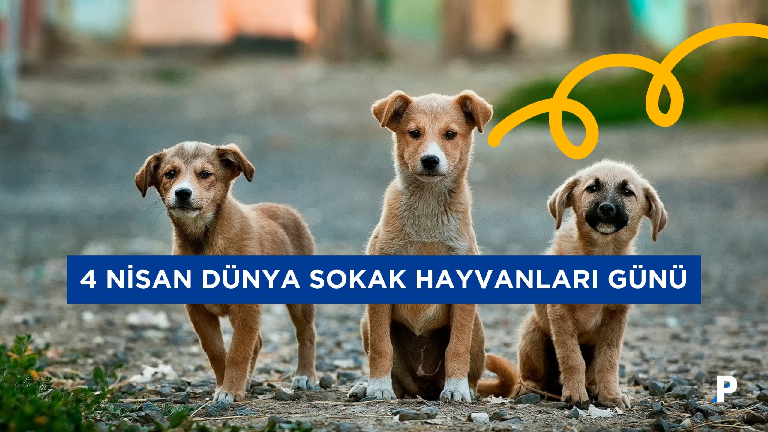 4 Nisan Dünya Sokak Hayvanları Günü