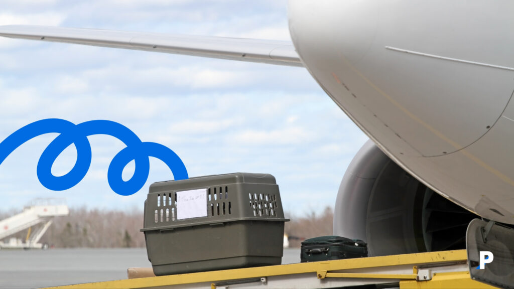 evcil hayvan pet pasaportu nedir nasil alinir 4 pethway pasaport asikarnesi evcilhayvanpasaport petpasaport pet kedi kopek seyahat petotelleri kopekotelleri