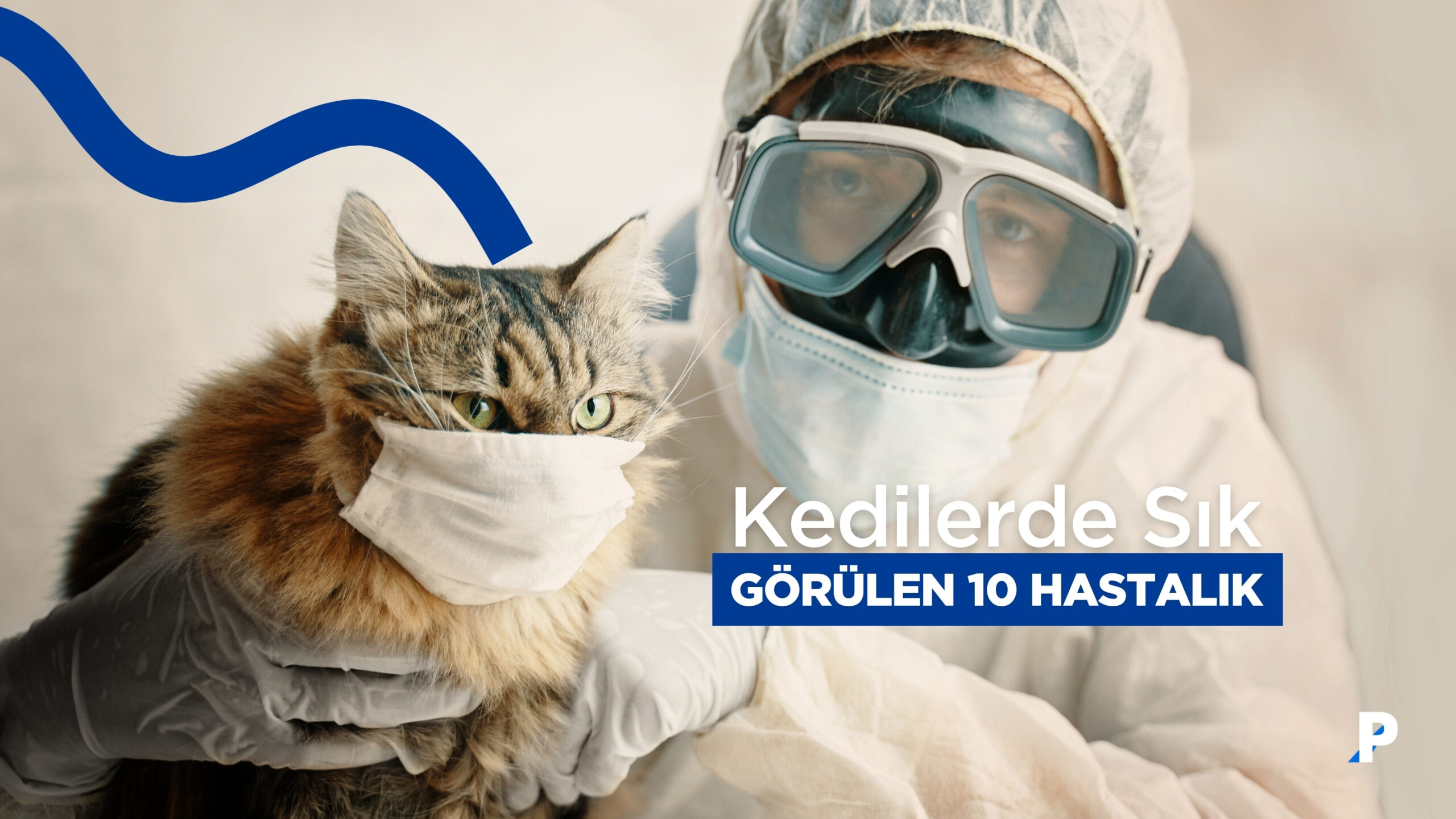 Kedilerde Sık Görülen 10 Hastalık | Belirtiler ve Tedavi