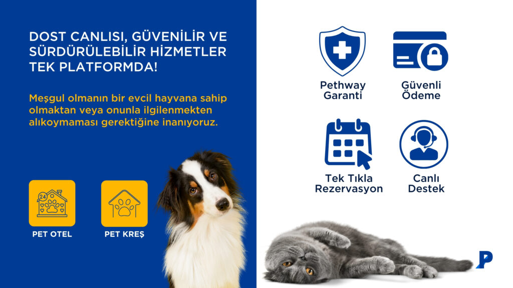 işletmeler için pethway nedir?