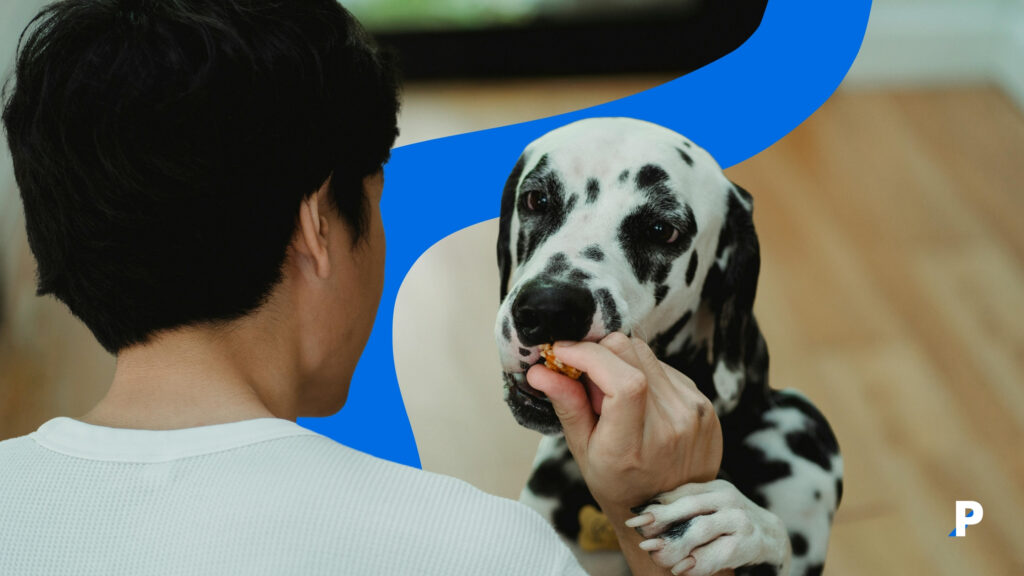 köpekler hangi yiyecekleri yiyebilir köpeğim bunu yiyebilir mi? - köpeklerin yiyebileceği besinler